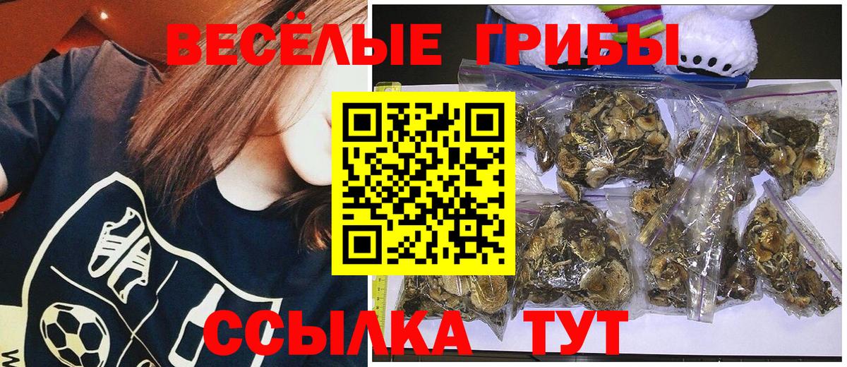 Псилоцибиновые грибы Psilocybine cubensis  Вход с VPN  Галлюциногенные грибы Psilocybine cubensis  Павлово 