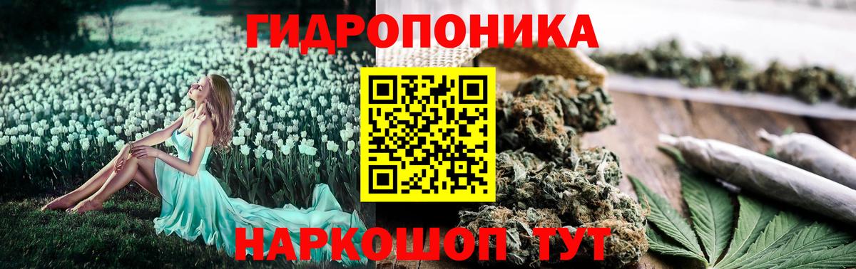 Бошки марихуана гибрид  Марихуана гибрид  Вход с VPN  Павлово  Шишки марихуана конопля  Канабис AK-47 